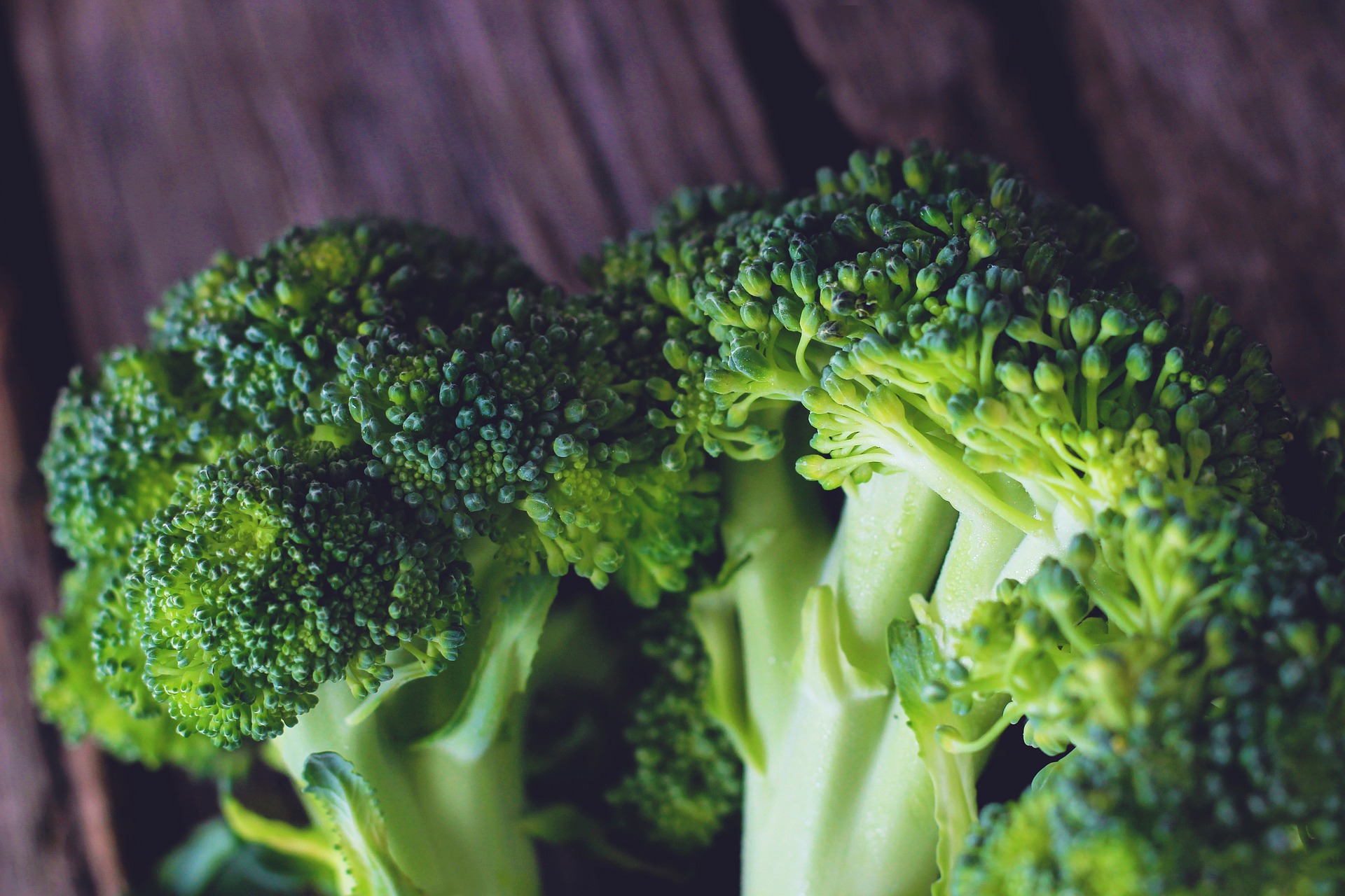 Broccoli flan with anchovy sauce